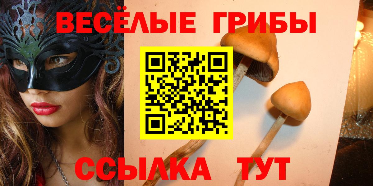 Выкса  Псилоцибиновые грибы Cubensis  Вход с VPN  Галлюциногенные грибы мицелий 